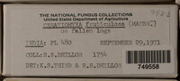 Image Associated With the Occurence